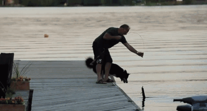 Man's Best Friend is Not Good at Helping You fish - FAIL Blog - Funny Fails