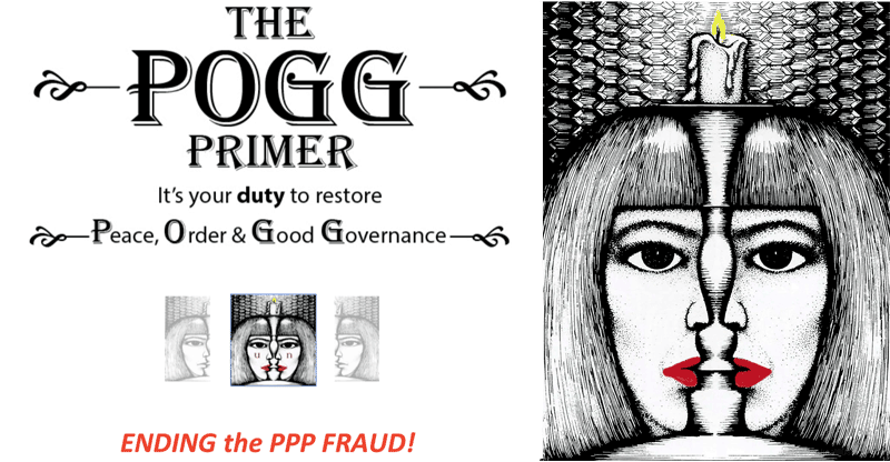 The POGG Primer: Ending the PPP Fraud!