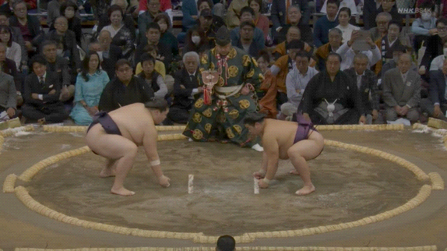 Oho (indigo) defeats Hiradoumi (purple).