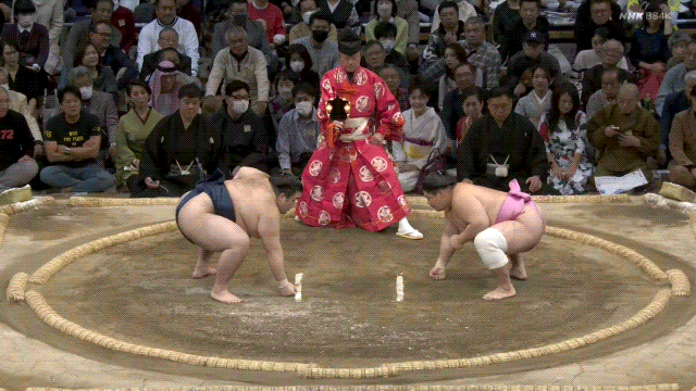 Grand Sumo: Ura (pink) defeats Gonoyama (blue).