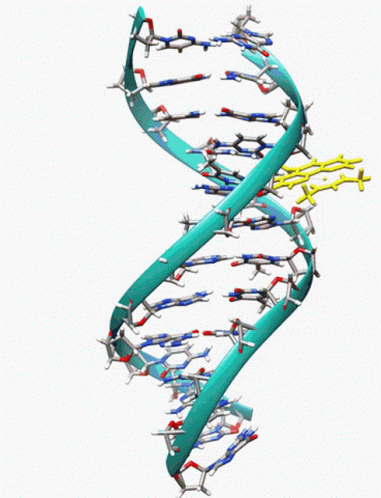 Dna strand spinning, showing mutated piece or RNA splicing into strand.