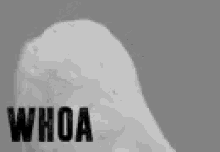 Whoa Owl GIFs | Tenor