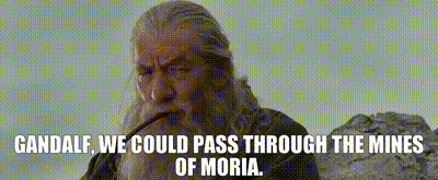 YARN | Gandalf, we could pass through the Mines of Moria. | The Lord of the  Rings: The Fellowship of the Ring (2001) | Video gifs by quotes | f085b555  | 紗
