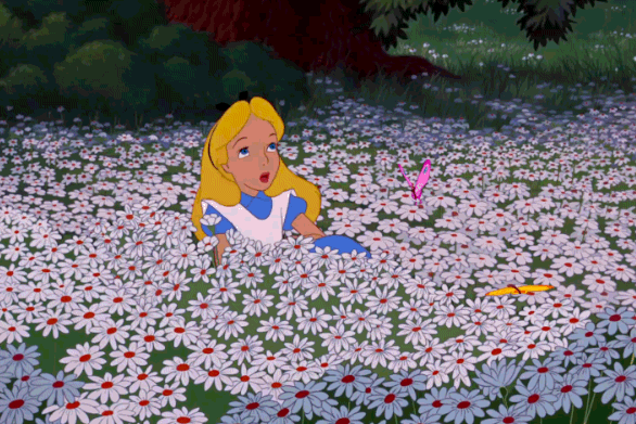 Gif da "Alice nel paese delle meraviglie" con una bambina bionda (Alice) che si lascia andare all'indietro in un prato di margherite mentre sopra le svolazzano delle farfalle gialle e rosa.