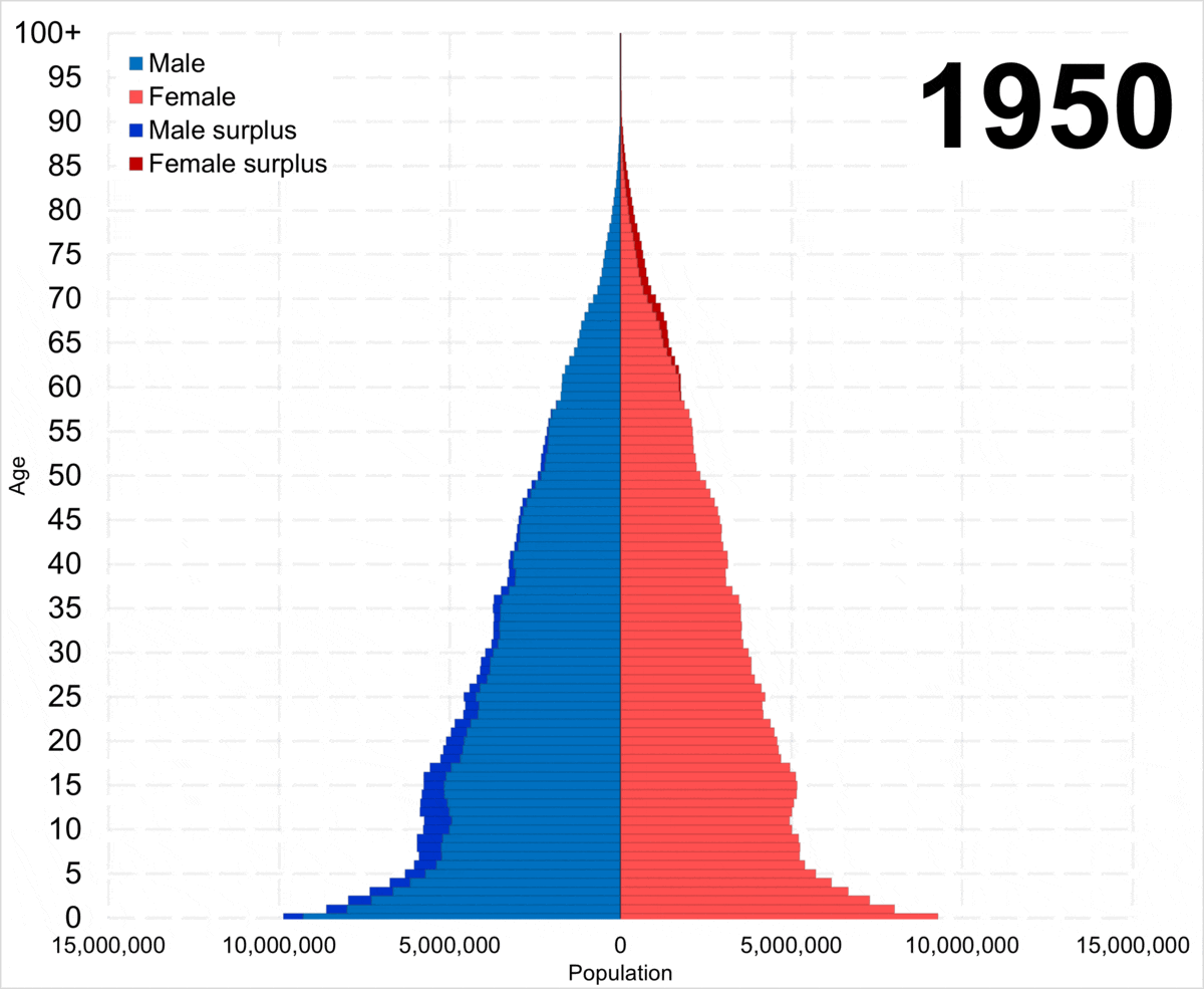 China population pyramid from 1950 to 2022.gif
