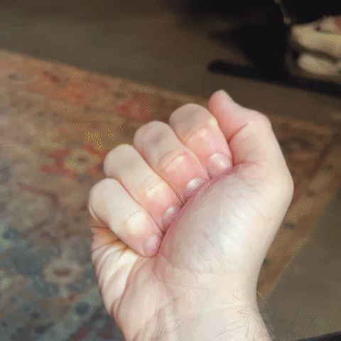 Art Loop GIF by Paul Trillo Art Loop GIF by Paul Trillo