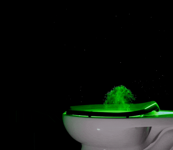 Here's What Really Happens When You Flush a Toilet | Smithsonian Here's What Really Happens When You Flush a Toilet | Smithsonian
