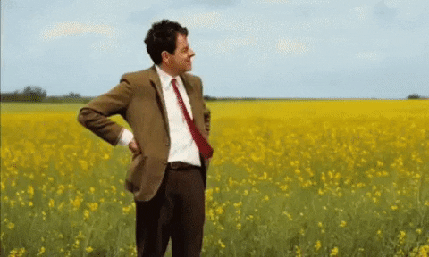 Movie gif. Rowan Atkinson as Mr. Bean in Mr. Bean's Holiday, stands in a field of yellow flowers on a windy day. He looks off into the distance and then at his watch, before scratching his head. 