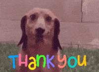 Thank You Funny GIFs - Find & Share on GIPHY