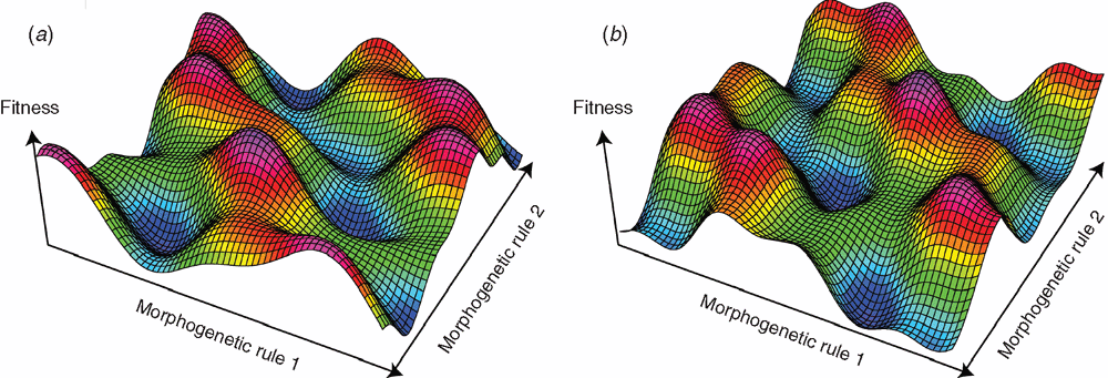 Neural Networks in 5 Key Concepts for Understanding Their Functionality in Quantitative Finance