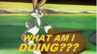 Looney tunes What am i doing GIF - Looney tunes What am i doing Bugs bunny GIFs