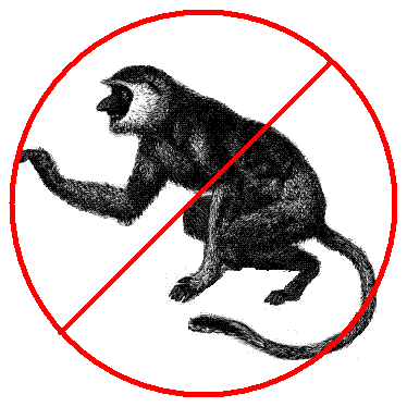 Translation Tribulations: No Monkeys!