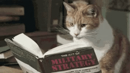 Genius Cat Study Military Strategy Book Reading GIF | GIFDB.com