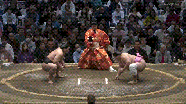 Grand Sumo: Wakamotoharu vs. Ura.