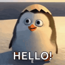 Hello Penguin GIF - Hello Penguin Hi - Discover & Share GIFs