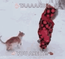 Tag Your It GIF - Tag Your It - Discover & Share GIFs