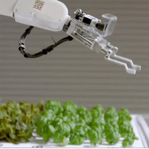 A robot arm that is not from Stacked Farm but just a concept of farm automation