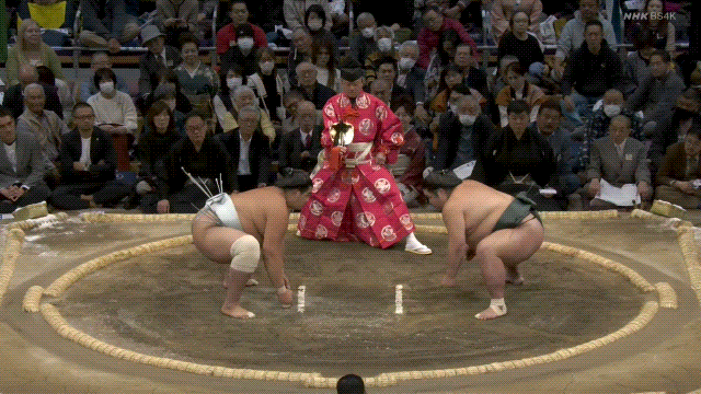Grand Sumo: Nishikigi (green) defeats Hokuseiho (teal).