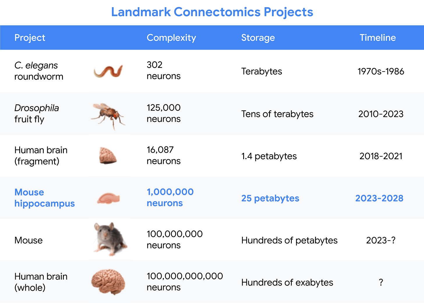 A diagram showing a table of different connectomics projects, with a roundworm at the top with 302 neurons requiring terabytes of storage, accomplished in the 1970s. The table grows in scale as it goes down to fruit fly, human brain fragments, mouse hippocampus, mouse and finally a whole human brain. The human brain,the number of neurons has dramatically increased to 100,000,000,000, which would need hundreds of exabytes to store.