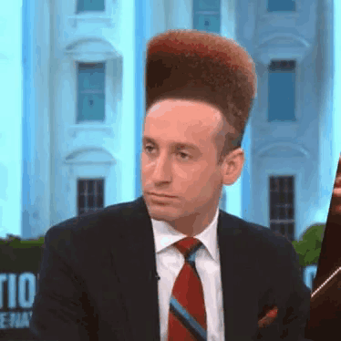 Stephen Miller Stupid GIF - Stephen Miller Stupid Hair - Discover & Share  GIFs