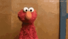 Elmo Shrug GIF - Elmo Shrug - Discover & Share GIFs