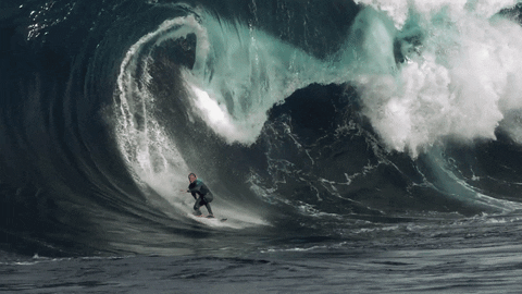 surf tsunami GIF