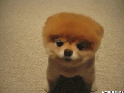 Bee-boo-dog-love-happy-dbz GIFs - Get the best GIF on GIPHY