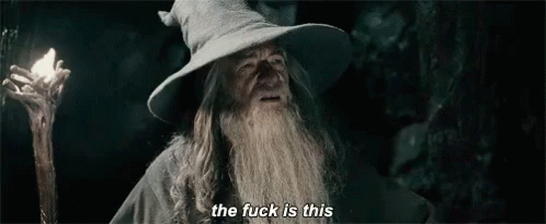 Wtf GIF - Lord Of The Rings Gandalf The Fuck Is This - Discover & Share ...