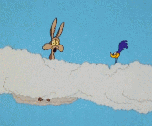 Roadrunner GIFs | GIFDB.com