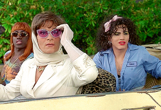 movie gifs — TO WONG FOO, THANKS FOR EVERYTHING! JULIE NEWMAR...