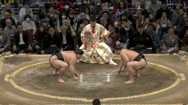 Grand sumo: Abi (left) defeats Wakamotoharu (right).