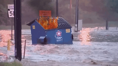 Dumpster-fire GIFs - Get the best GIF on GIPHY