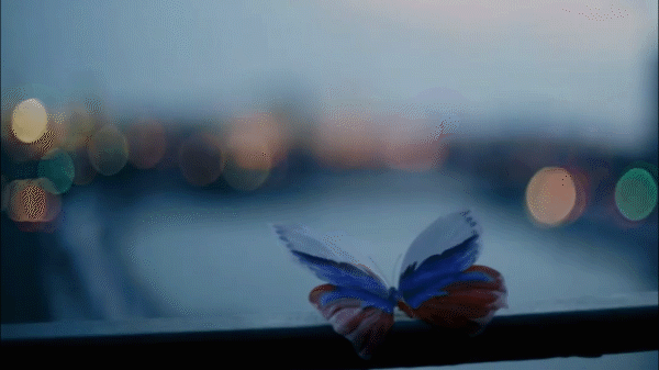 Butterfly on my window gif butterfly bokeh beautiful wings | Butterfly gif,  Beautiful gif, Nature gif
