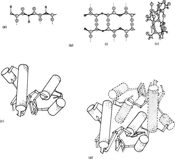 Protein Quaternary Structure - an overview | ScienceDirect Topics
