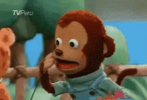 Monkey Confused GIF - Monkey Confused - Discover & Share GIFs