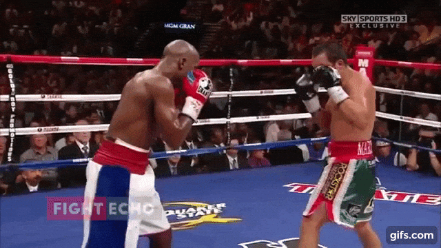 Some of the best boxing gifs : r/Boxing