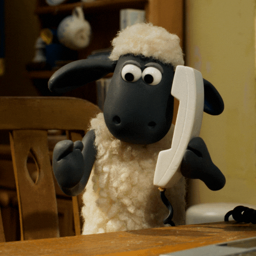 Sheep on a phone call