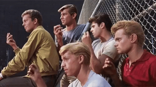 Sharks And Jets West Side Story GIFs | Tenor