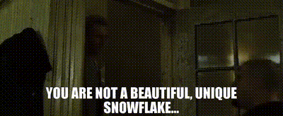 Image of You are not a beautiful, unique snowflake...