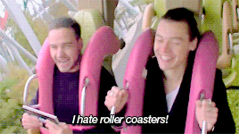 I Hate Rollercoaster :D - Harry Styles Fan Art (37943601) - Fanpop