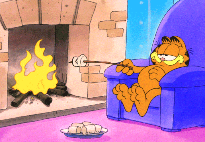 Fire Toast GIF by Garfield - Find & Share on GIPHY