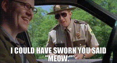 YARN | I could have sworn you said "meow." | Super Troopers (2001) | Video  clips by quotes | 88d0f129 | 紗