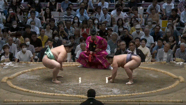 Kotonowaka vs. Tobizaru