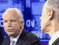 paulownsmccain.gif