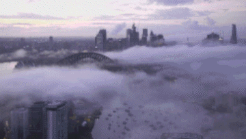 Fog - 9News - Latest news and headlines from Australia and the world