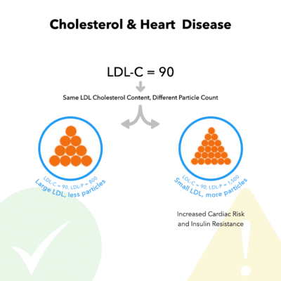 Relación entre la dieta cetogénica y el colesterol LDL por tamaño de la lipoproteínaTamaño de las partículas LDL de colesterol