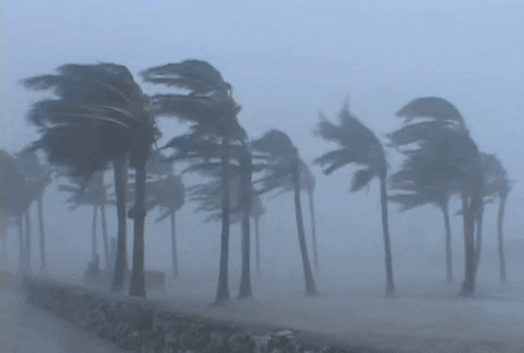 Wind Storm Norway Saturday January 10 GIFs - Find & Share on GIPHY