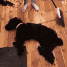 Shedding GIFs | Tenor