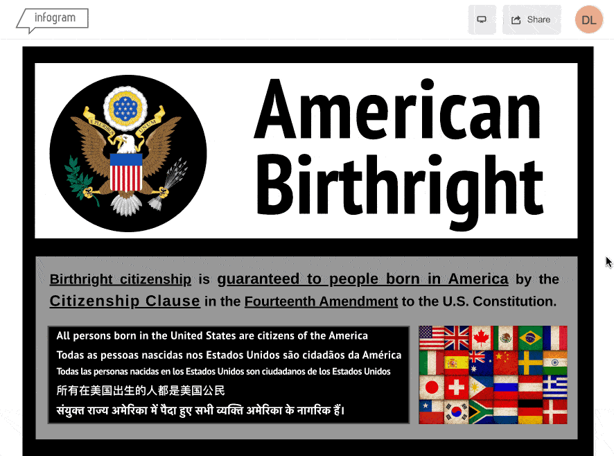 Protect American Birthright