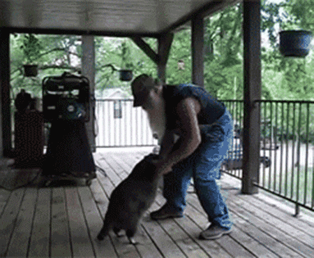 GIF of a bearded man dancing with a racoon